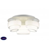 Светодиодная потолочная люстра ST Luce Ovale SL546.502.03