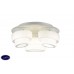 Светодиодная потолочная люстра ST Luce Ovale SL546.502.03