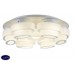 Светодиодная потолочная люстра ST Luce Ovale SL546.502.07