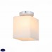 Светильник настенно-потолочный ST Luce ASPETTO SL548.501.01