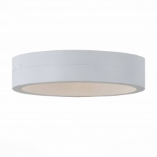 Светильник уличный настенно-потолочный светодиодный ST Luce Molto SL562.501.01