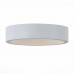 Светильник уличный настенно-потолочный светодиодный ST Luce Molto SL562.501.01