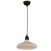 Светильник подвесной ST Luce Genio SL712.803.01