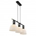 Светильник подвесной ST Luce Aletante SL714.043.03