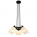Подвесная люстра ST Luce Aletante SL714.403.05