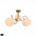 Люстра потолочная ST Luce ACINI SL717.202.03