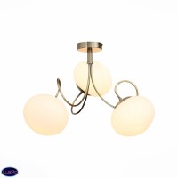 Люстра потолочная ST Luce ACINI SL717.302.03