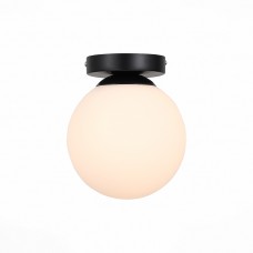 Светильник настенно-потолочный ST Luce ACINI SL717.401.01