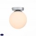 Светильник настенно-потолочный ST Luce ACINI SL717.501.01