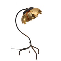 Настольная лампа ST Luce LOTO SL817.424.01