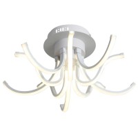 Светильник потолочный ST Luce Finde SL826.502.10