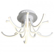 Светильник потолочный ST Luce Finde SL826.502.10