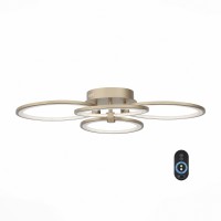 Люстра потолочная светодиодная ST Luce Twiddle Dimmer SL867.202.04