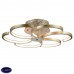 Светодиодная потолочная люстра ST Luce Fiore SL906.203.06