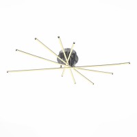 Светодиодная потолочная люстра ST Luce Fasci SL926.112.10