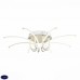 Люстра потолочная светодиодная ST Luce Intrigo SL953.502.08