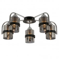 Люстра EVOLUCE(FIUMO) SLE102002-05