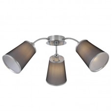 Люстра EVOLUCE(MALEONTE) SLE103002-03