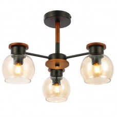Люстра EVOLUCE(RASCO) SLE108102-03