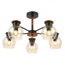 Люстра EVOLUCE(RASCO) SLE108102-05