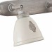Спот Maytoni AGNES SP289-CW-03-BG