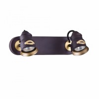 Спот Maytoni BORGO SP315-CW-02-BR