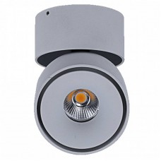 Точечный светильник DesignLed T003112-MZ-12-WH-NW WL