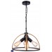 Люстра подвесная Toplight Jasmin TL1179H-04BK