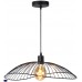 Светильник подвесной Toplight Agnes TL1196H-01BK