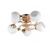 Люстра потолочная Toplight Maria TL3510X-05FG Люстра потолочная Toplight Maria TL3510X-05FG