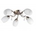 Люстра потолочная Toplight Paula TL3550X-05SN