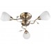 Люстра потолочная Toplight Lorin TL3570X-03AB
