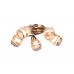 Люстра потолочная Toplight Polly TL3720X-05AB