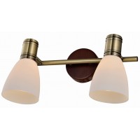 Спот Toplight Sharyl TL3720Y-02BB