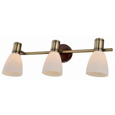 Спот Toplight Sharyl TL3720Y-03BB