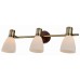 Спот Toplight Sharyl TL3720Y-03BB