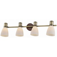 Спот Toplight Sharyl TL3720Y-04BB