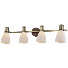 Спот Toplight Sharyl TL3720Y-04BB