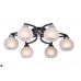 Люстра потолочная Toplight Philomena TL3730X-06BC