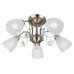 Люстра потолочная Toplight Brooke TL7110X-05AB