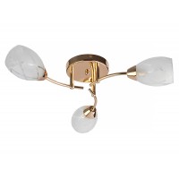 Люстра потолочная Toplight Lucy TL7120X-03FG