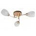 Люстра потолочная Toplight Lucy TL7120X-03FG