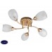 Люстра потолочная Toplight Lucy TL7120X-05FG