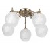 Люстра потолочная Toplight Lora TL7370X-05AB