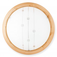 Светильник настенно-потолочный Toplight Madison TL9033Y-02PN