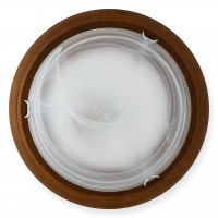 Светильник настенно-потолочный Toplight Irma TL9073Y-02OA