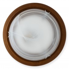 Светильник настенно-потолочный Toplight Irma TL9073Y-02OA