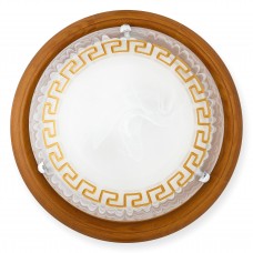 Светильник настенно-потолочный Toplight Gien TL9173Y-02OA