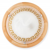 Светильник настенно-потолочный Toplight Gien TL9173Y-02PN