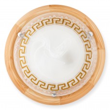 Светильник настенно-потолочный Toplight Gien TL9173Y-02PN